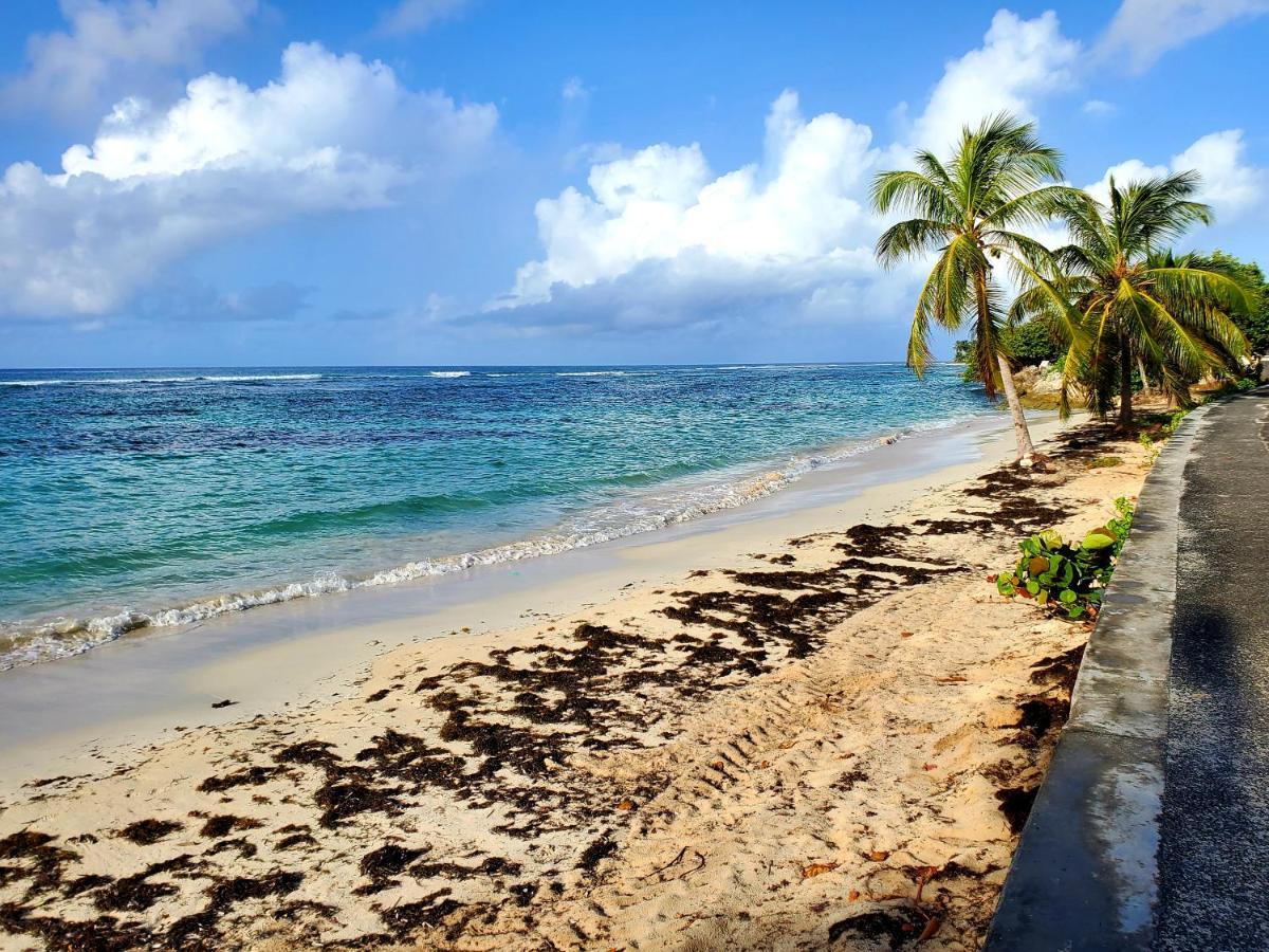 Villa L'Anjou Creole A Sainte Anne En Guadeloupe Avec Piscine Privee Et 2 Chambres Pour 4 Personnes Exteriér fotografie