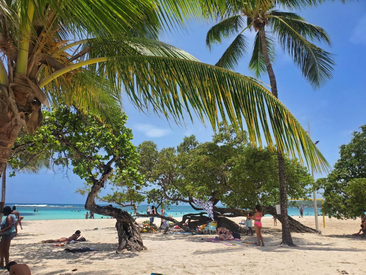Villa L'Anjou Creole A Sainte Anne En Guadeloupe Avec Piscine Privee Et 2 Chambres Pour 4 Personnes Exteriér fotografie