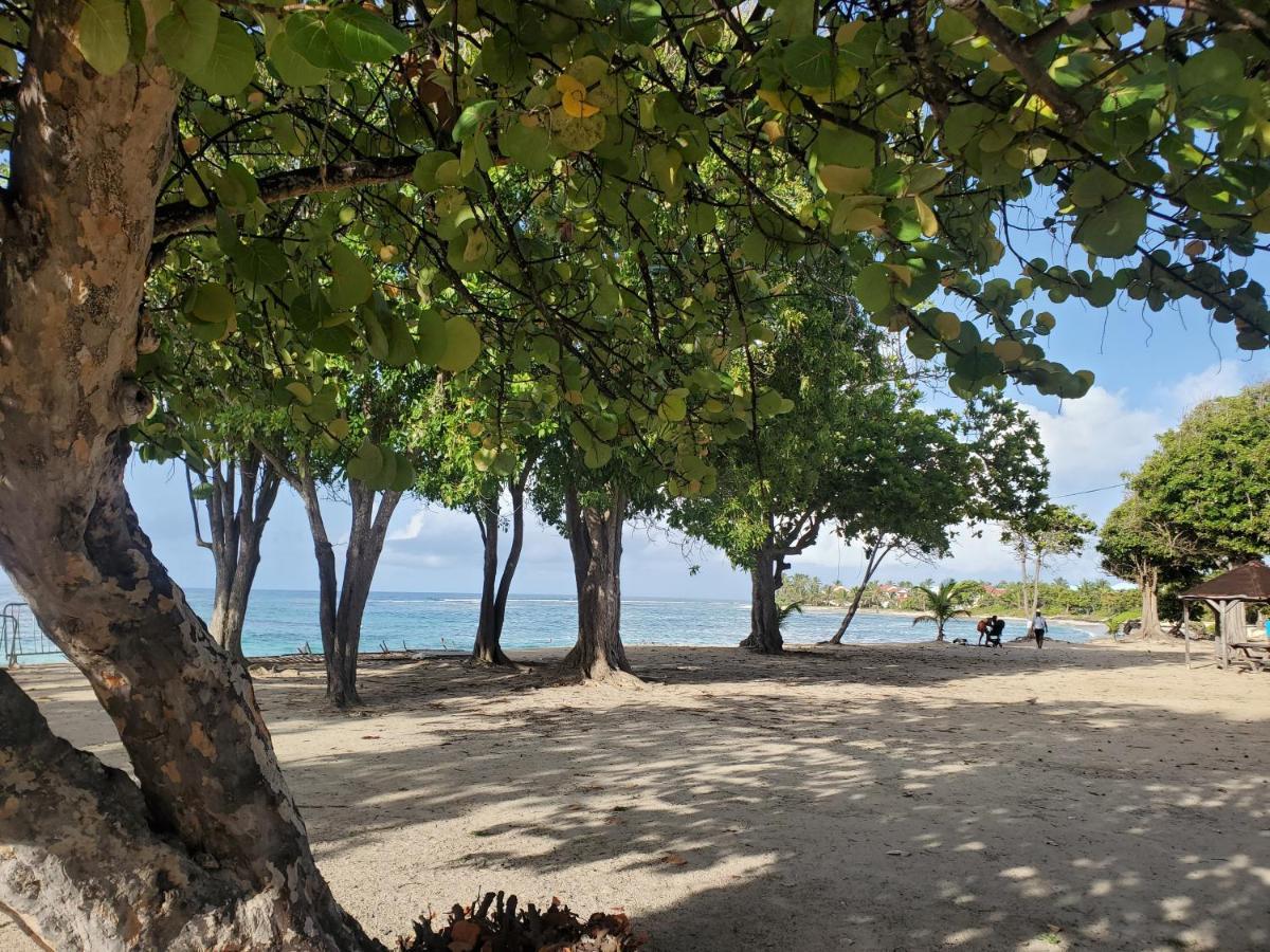 Villa L'Anjou Creole A Sainte Anne En Guadeloupe Avec Piscine Privee Et 2 Chambres Pour 4 Personnes Exteriér fotografie
