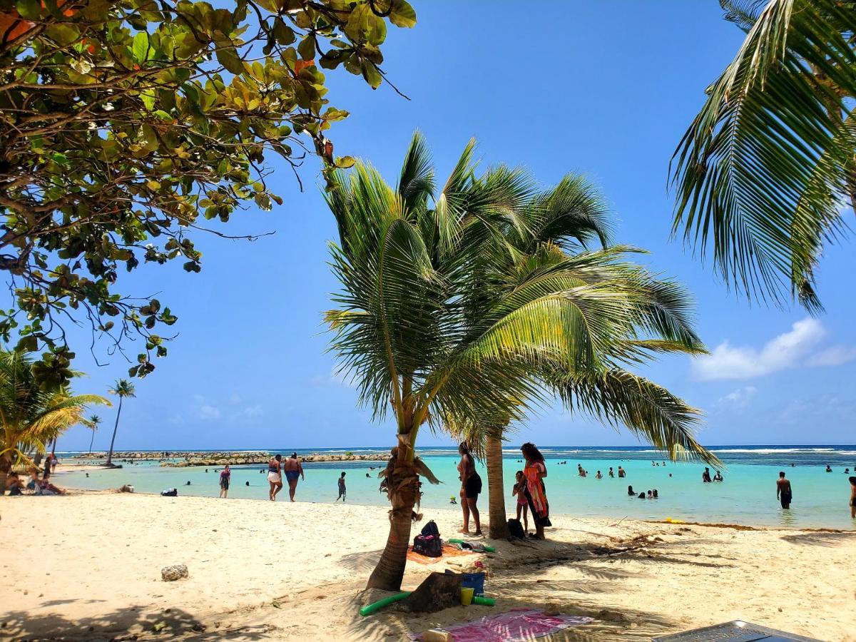 Villa L'Anjou Creole A Sainte Anne En Guadeloupe Avec Piscine Privee Et 2 Chambres Pour 4 Personnes Exteriér fotografie