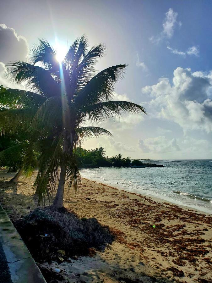 Villa L'Anjou Creole A Sainte Anne En Guadeloupe Avec Piscine Privee Et 2 Chambres Pour 4 Personnes Exteriér fotografie