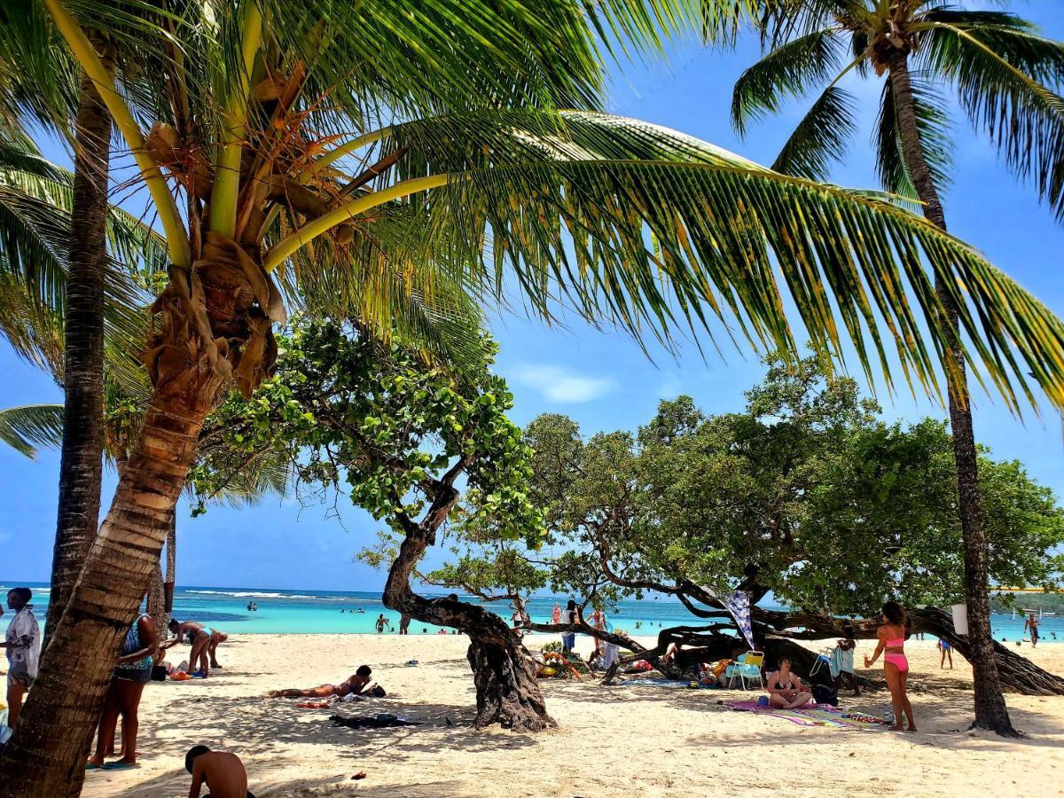 Villa L'Anjou Creole A Sainte Anne En Guadeloupe Avec Piscine Privee Et 2 Chambres Pour 4 Personnes Exteriér fotografie