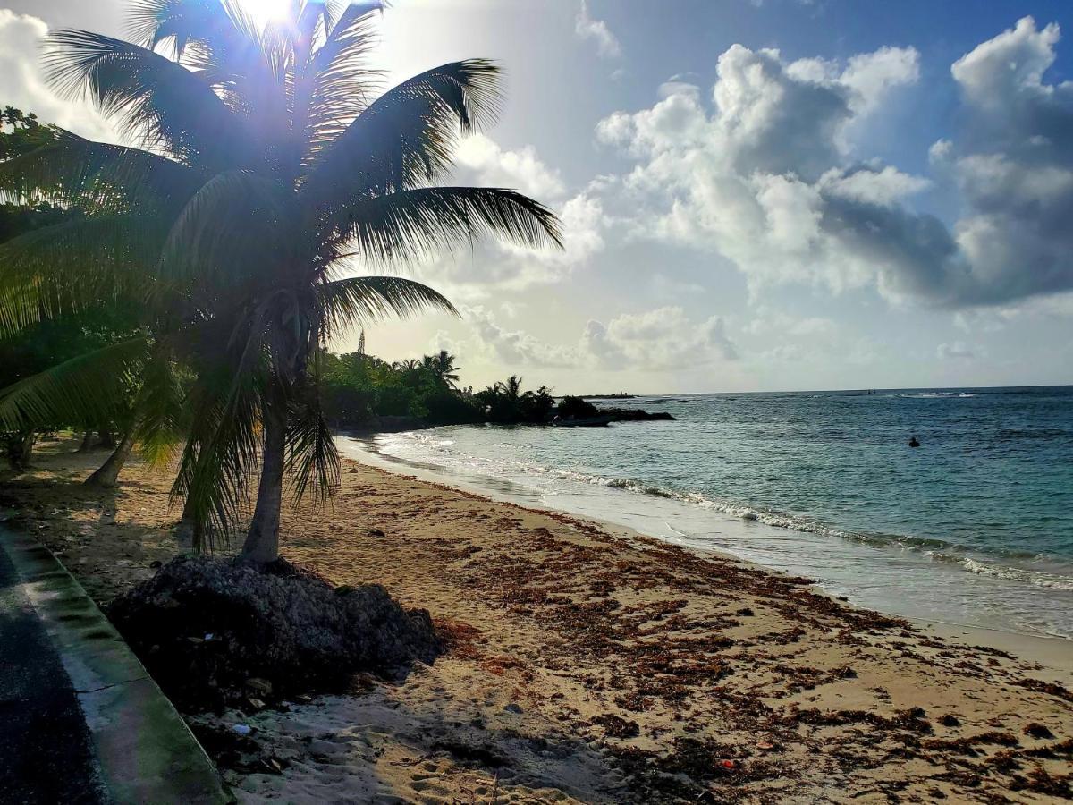 Villa L'Anjou Creole A Sainte Anne En Guadeloupe Avec Piscine Privee Et 2 Chambres Pour 4 Personnes Exteriér fotografie