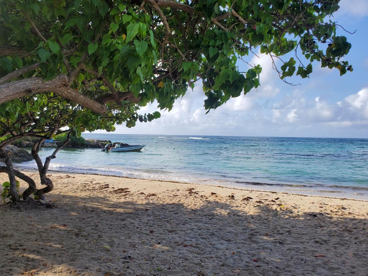 Villa L'Anjou Creole A Sainte Anne En Guadeloupe Avec Piscine Privee Et 2 Chambres Pour 4 Personnes Exteriér fotografie