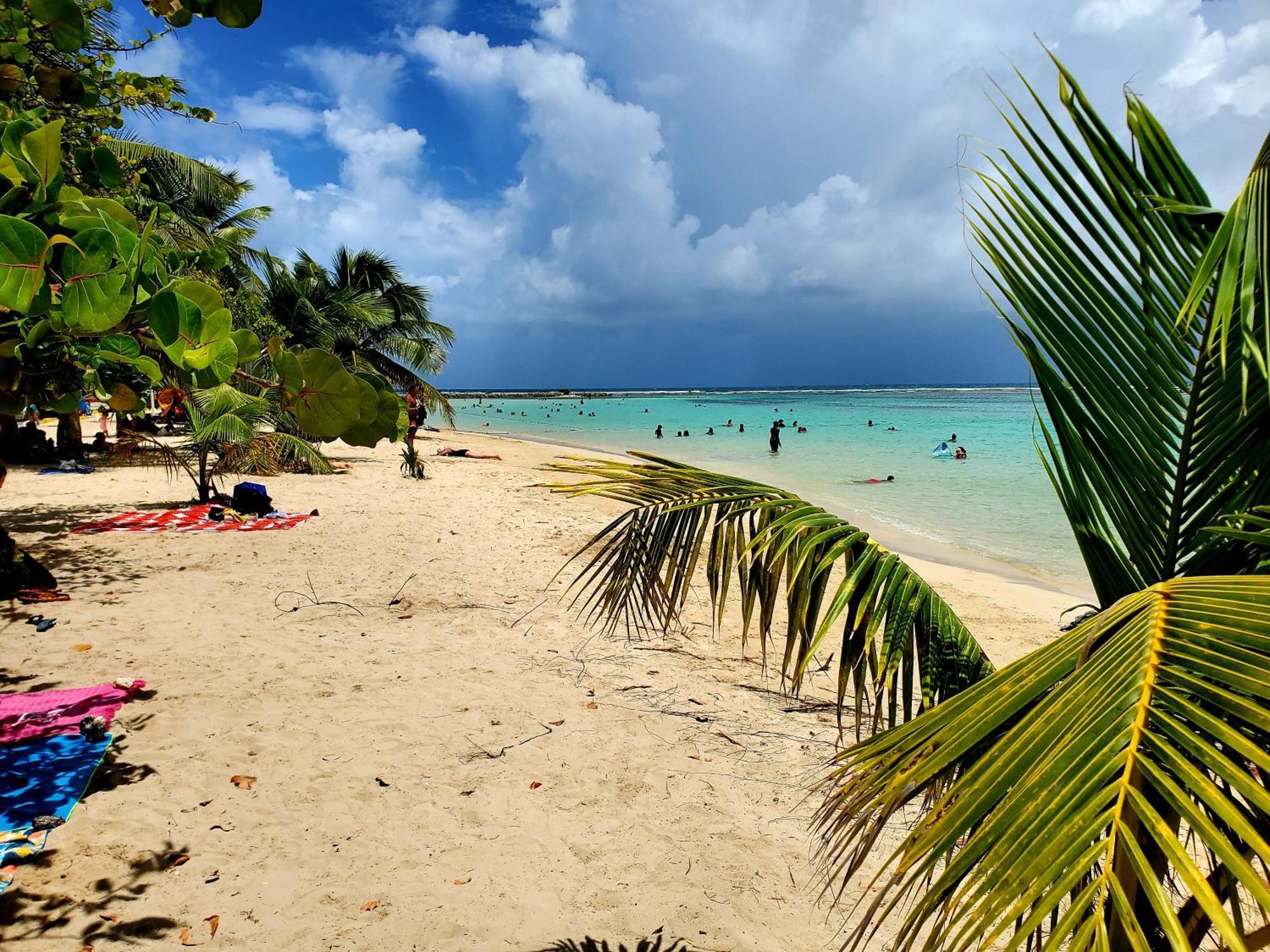 Villa L'Anjou Creole A Sainte Anne En Guadeloupe Avec Piscine Privee Et 2 Chambres Pour 4 Personnes Exteriér fotografie