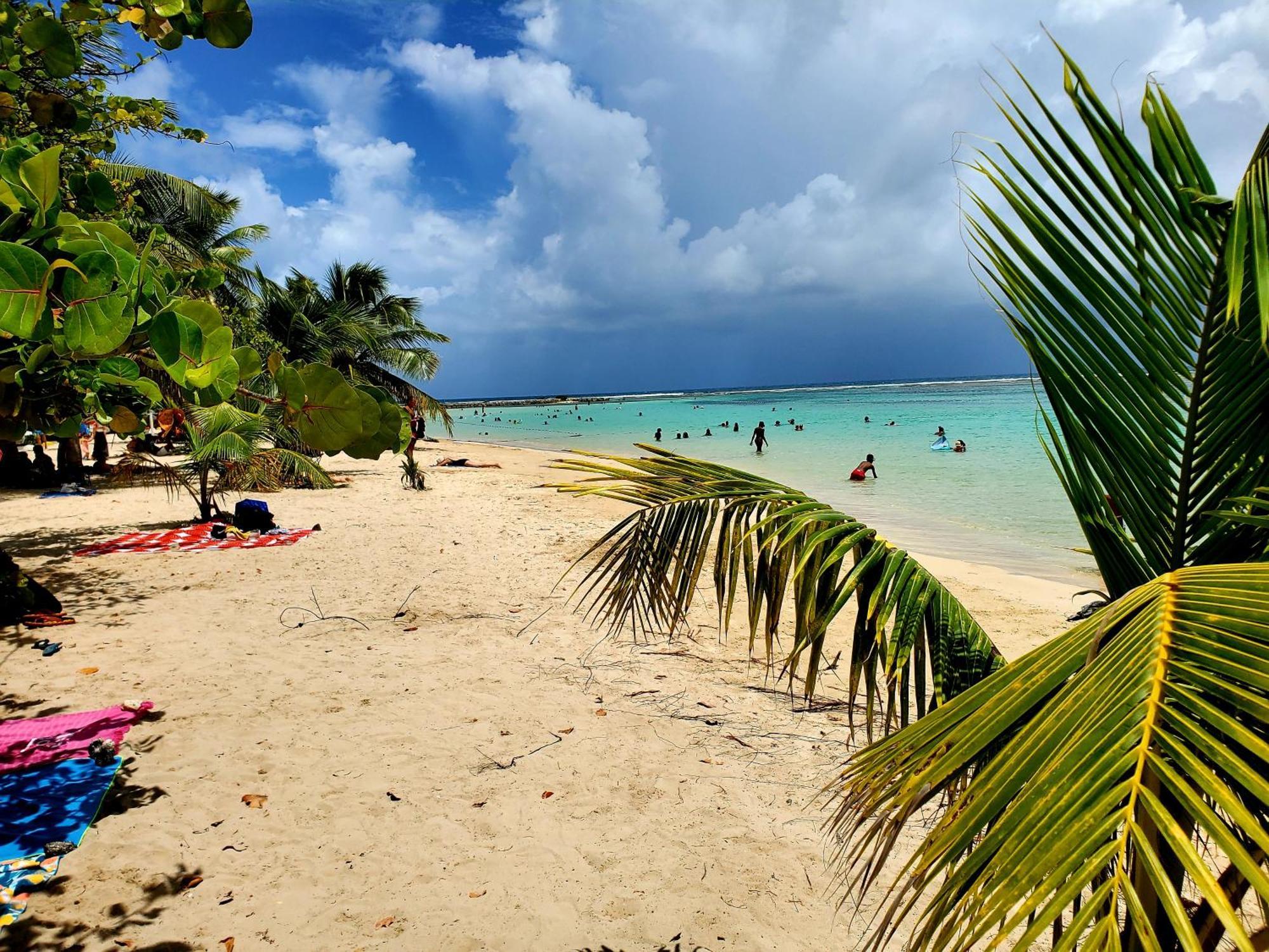 Villa L'Anjou Creole A Sainte Anne En Guadeloupe Avec Piscine Privee Et 2 Chambres Pour 4 Personnes Exteriér fotografie